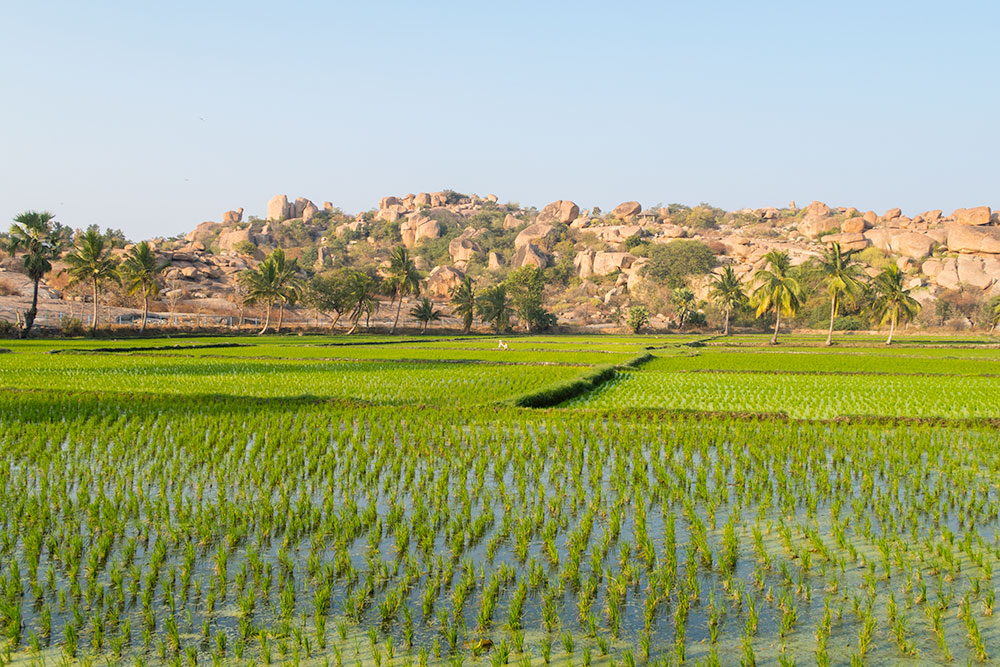 Hampi Island Nature | Happymind Travels