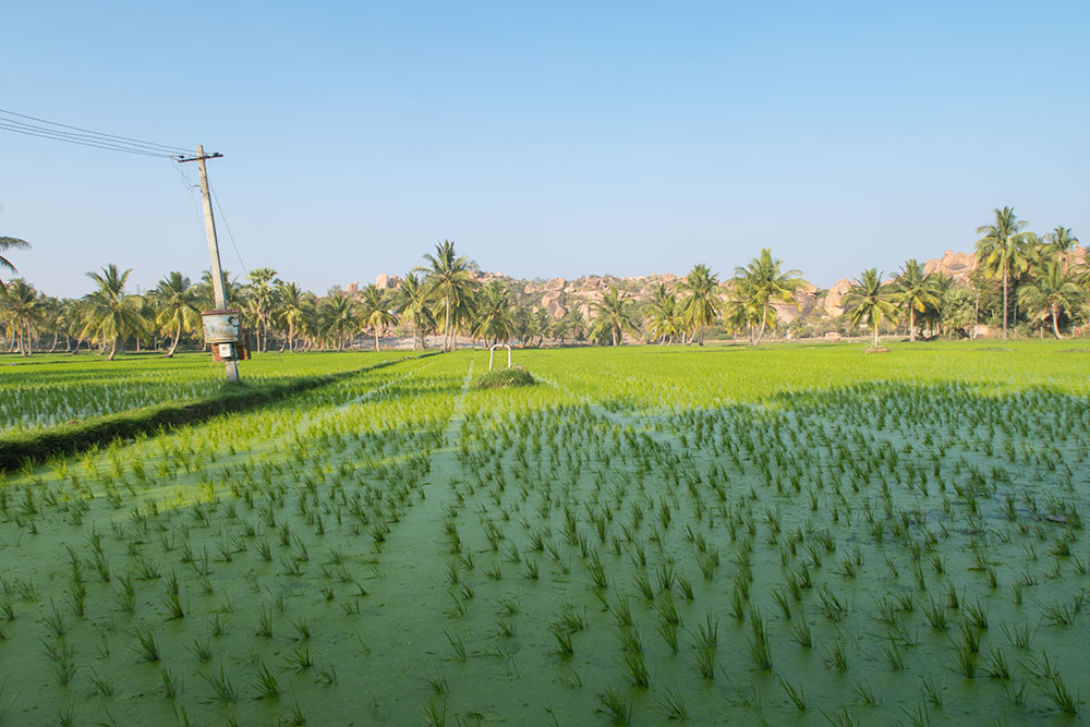 Hampi Island View | Happymind Travels