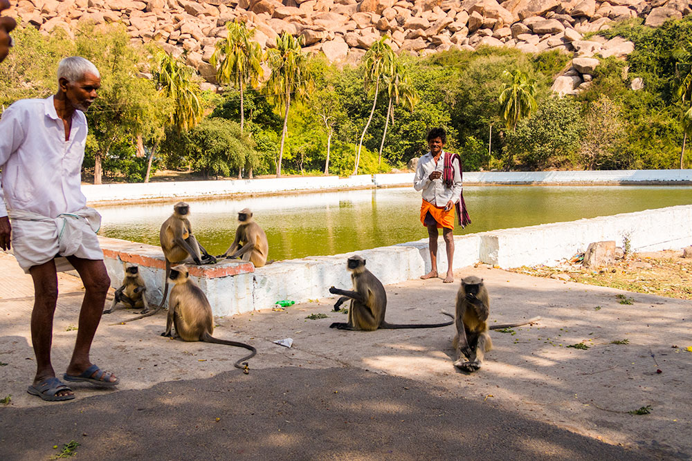 Pampa Saras or Sarovar (Lake) | Happymind Travels