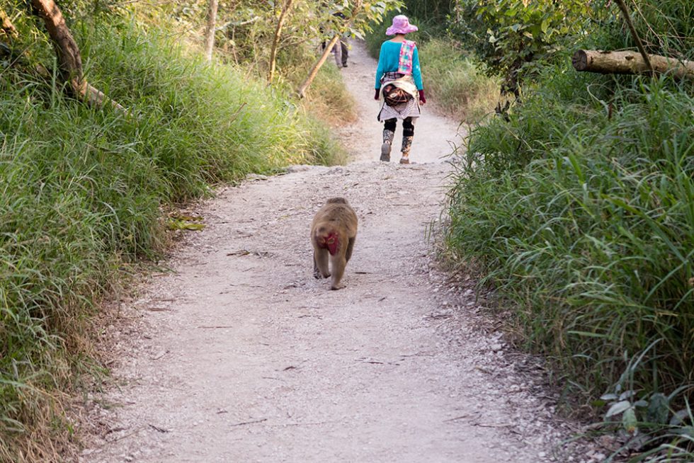 Monkeys Mountain (Chai Shan) em Kaohsiung | Happymind Travels