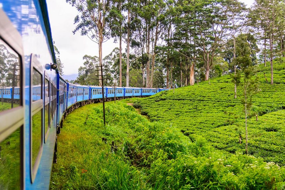 Perfect train curve on Kandy's Trip to Ella, Sri Lanka | Happymind Travels
