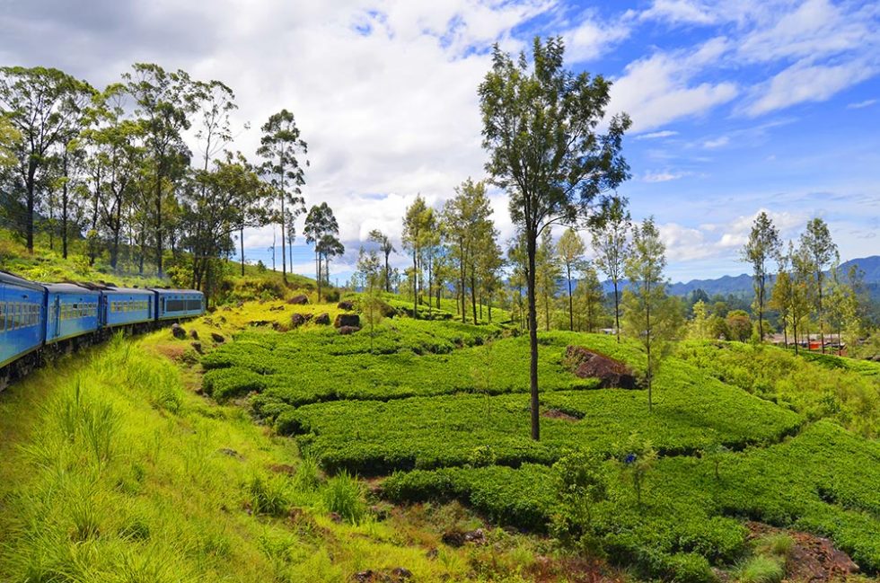 Landscape on the Train Trip from Kandy to Ella - Sri Lanka | Happymind Travels