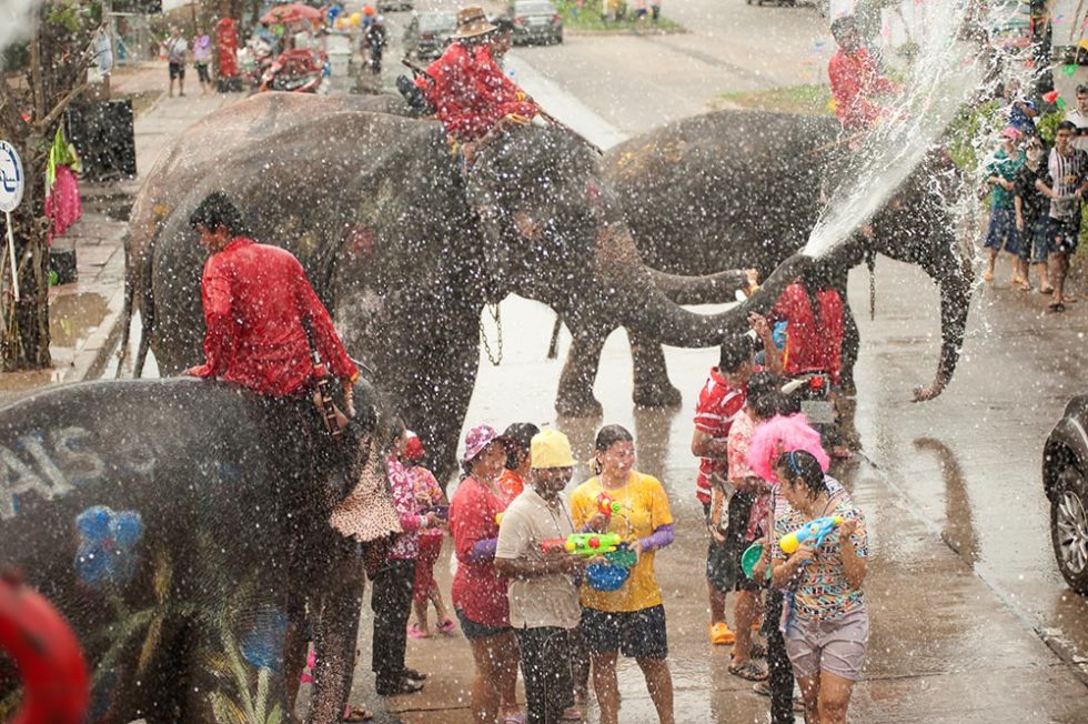 Os Elefantes, imagem de marca do Songkran em Ayutthaya, Tailândia | Happymind Travels