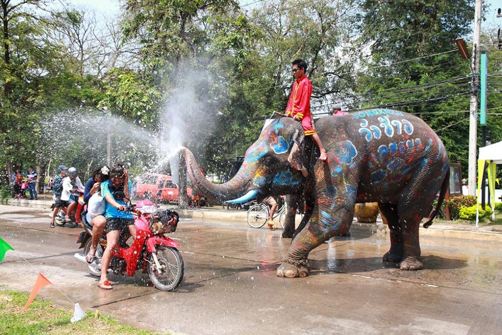 Elefante a atirar água a motociclistas no Songkran em Ayutthaya, Tailândia | Happymind Travels