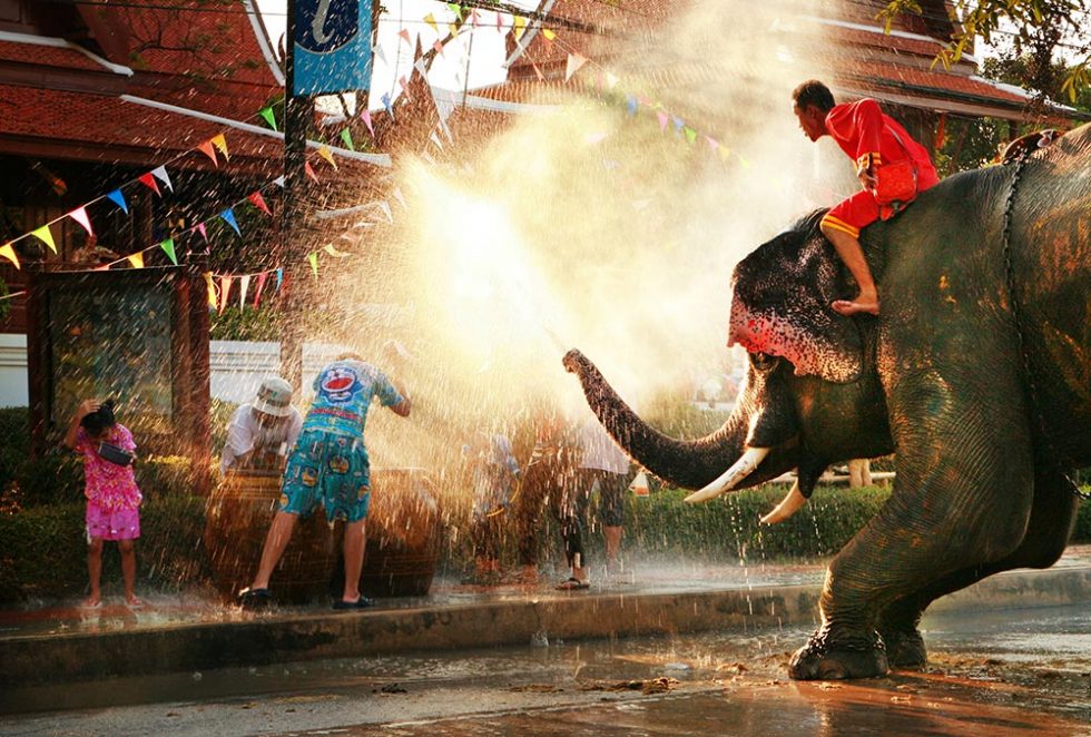 Songkran Festival in Ayutthaya with elephant to participate | Happymind Travels