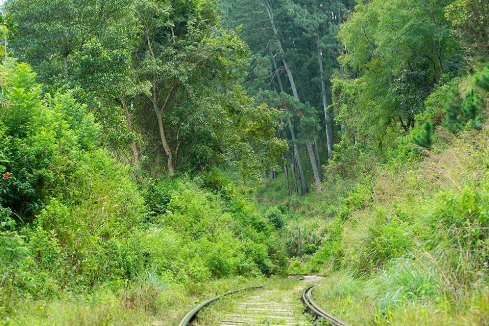 Percurso estreito na Viagem de Trem de Kandy para Ella - Sri Lanka | Happymind Travels