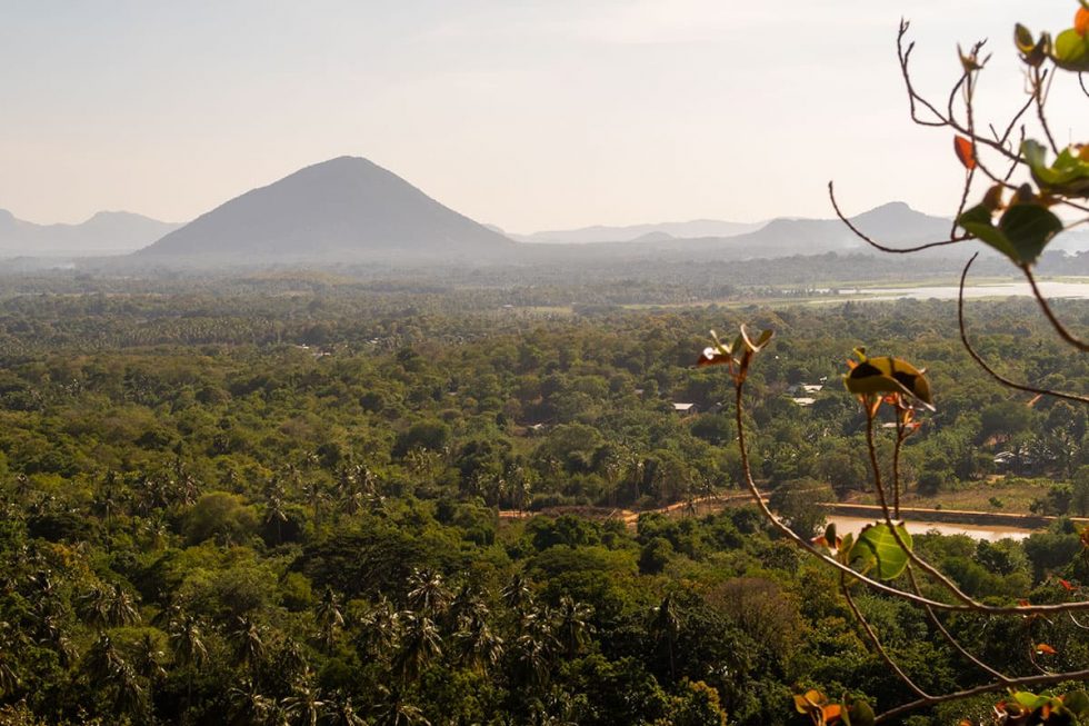 Paisagem lá do topo em Dambulla na Cave Temple, Sri Lanka | Happymind Travels