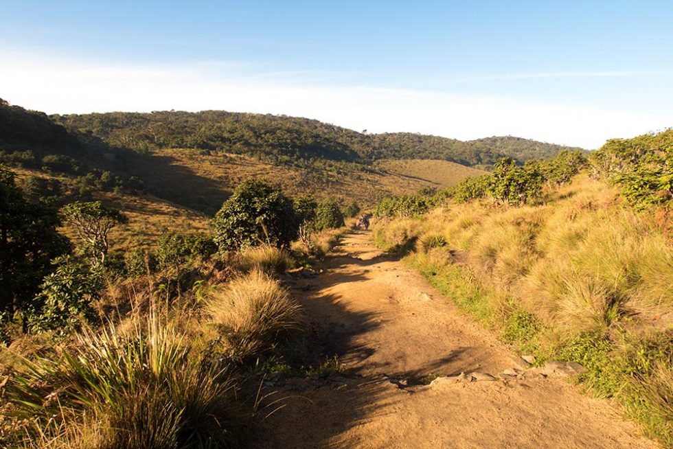 Trail in Horton Plains in Sri Lanka | Happymind Travels