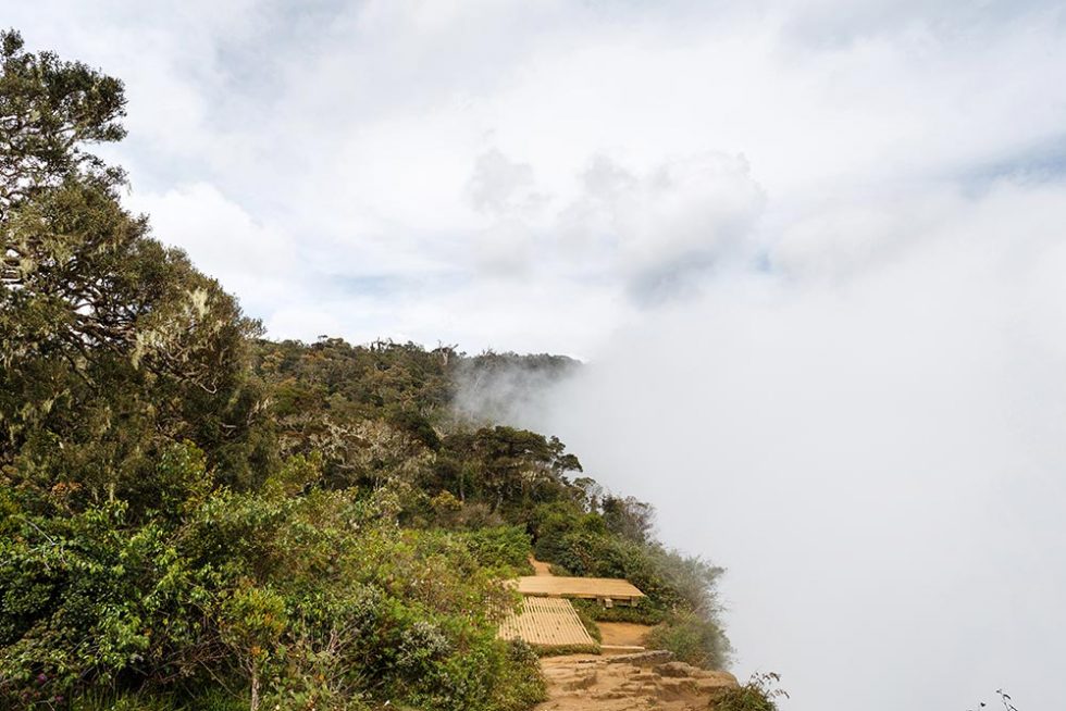 The World's End landscape already covered by clouds in Horton Plains, Sri Lanka | Happymind Travels