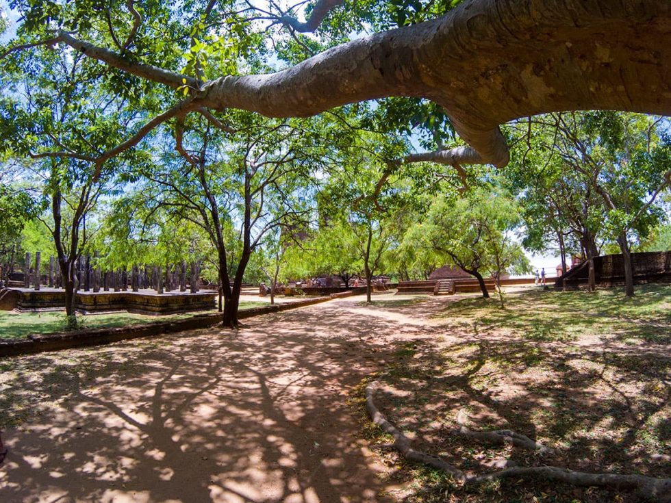 Natureza da Cidade Antiga de Polonnaruwa - Sri Lanka | Happymind Travels