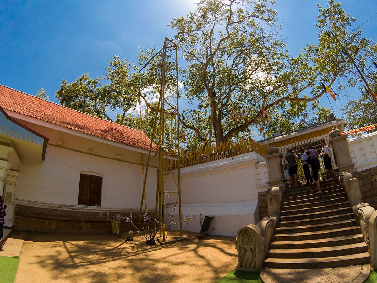 Sri Maha Bodhiya in the Anuradhapura Ruins, Sri Lanka | Happymind Travels