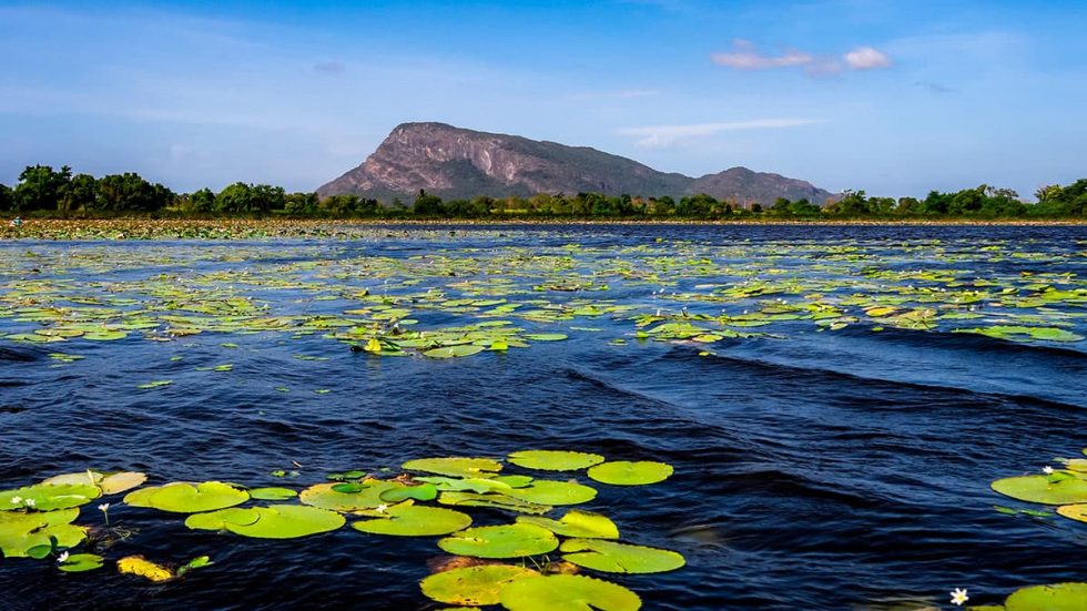 Montanha de Dimbulagala vista desde o Mahawewa Tank nas proximidades de Floods Plain, Sri Lanka | Happymind Travels