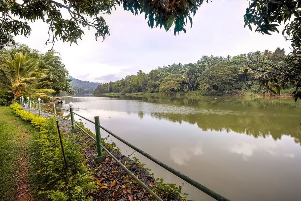 Margens do Rio Mahaweli em Flood Plains, Sri Lanka | Happymind Travels