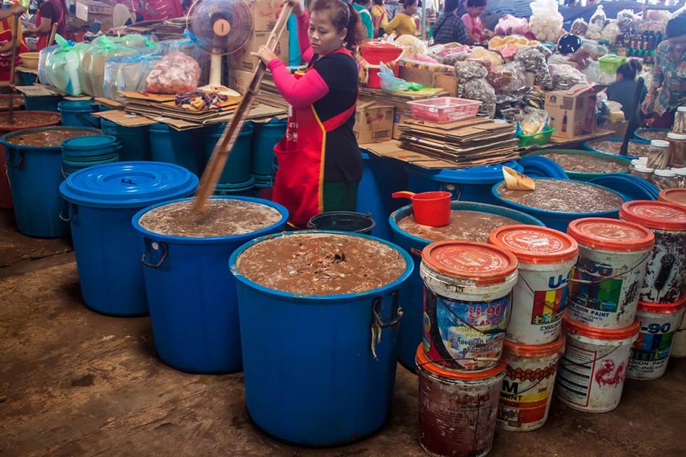 Preparação do molho de peixe no mercado de Pakse, Laos | Happymind Travels