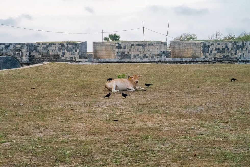 Dentro do Forte Holandês em Jaffna, Sri Lanka | Happymind Travels