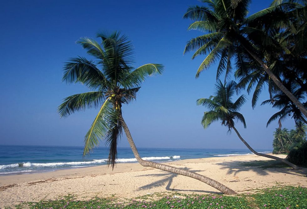 Perto da Praia de Unawatuna, Sri Lanka | Happymind Travels