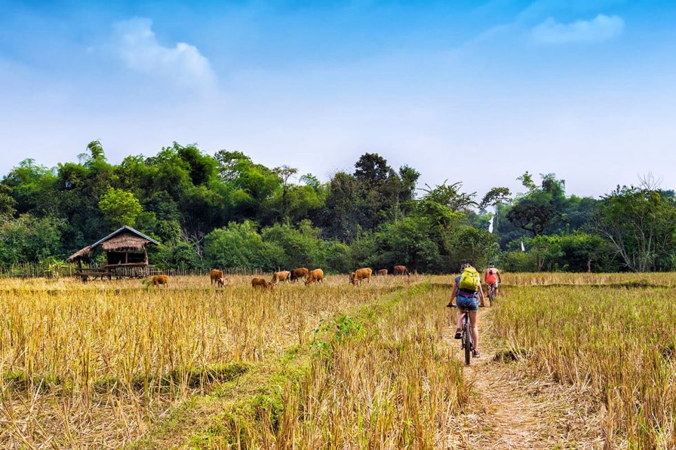 Andar de Bicicleta pela natureza de Vang Vieng, Laos | Happymind Travels