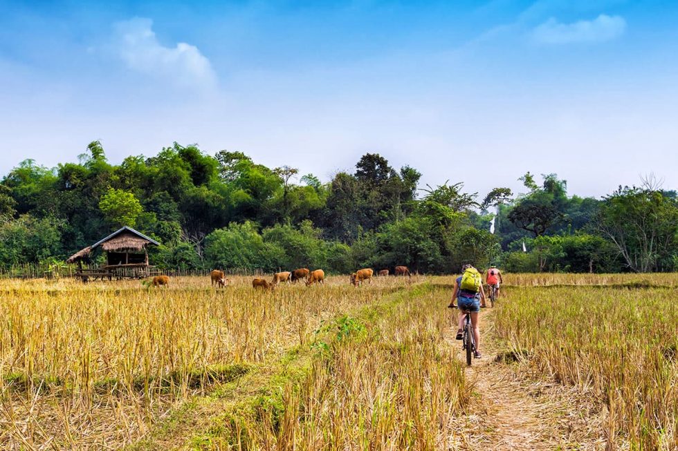 Cycling through nature in Vang Vieng, Laos | Happymind Travels